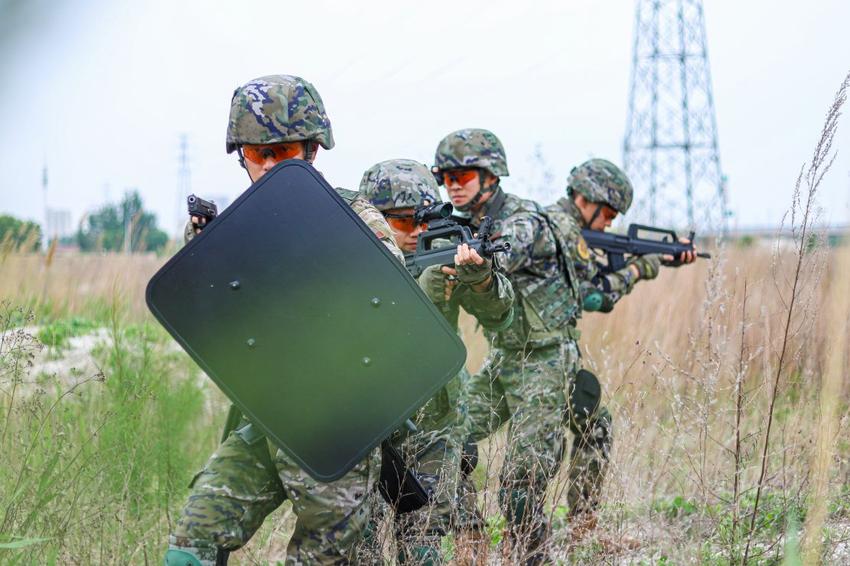 静谧丛林隐蔽侦察 战术演练悄然打响