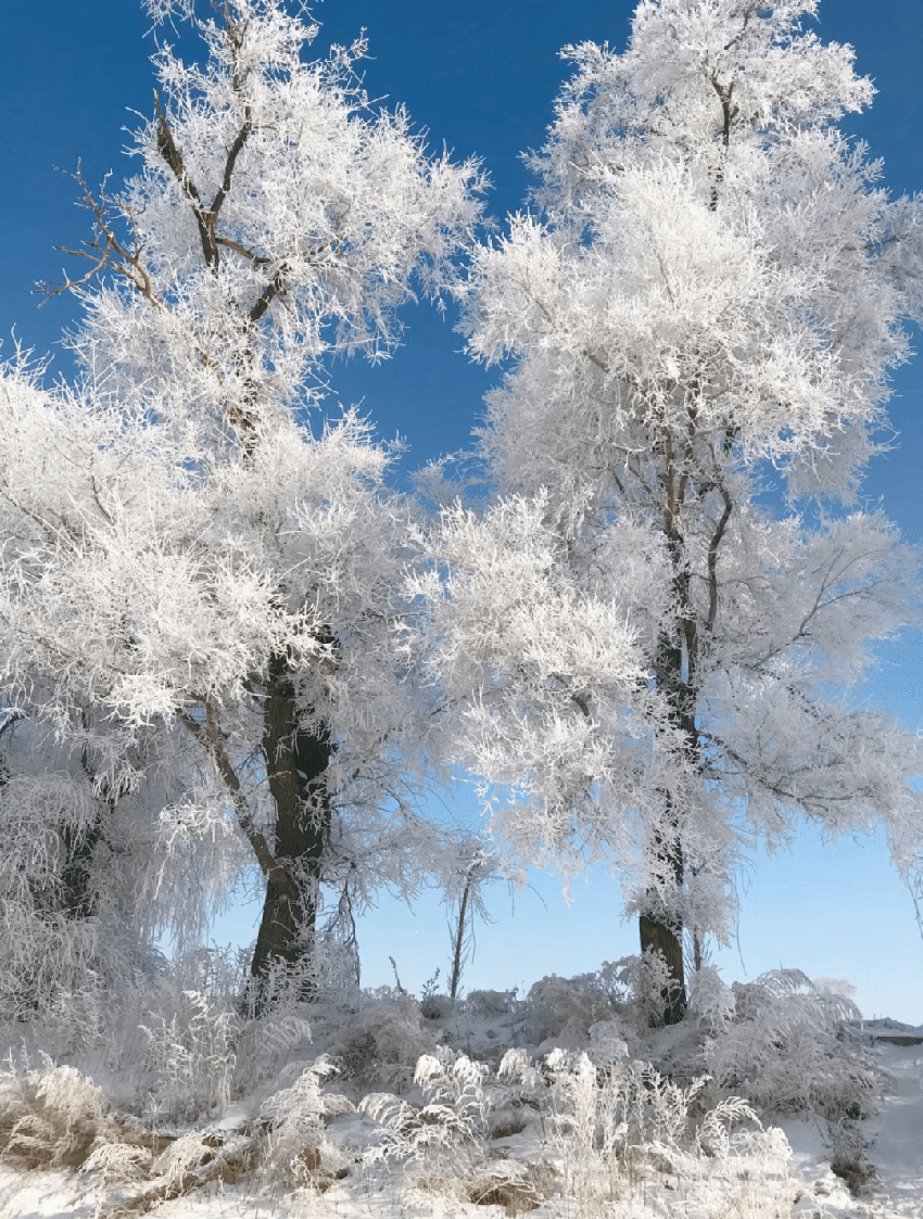 哈尔滨冰雪大世界，名媛们排队几年都要住的奢华冰屋到底有多好？