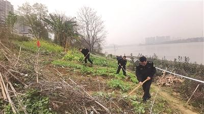 清除水域“痘痘” 呵护美丽“容颜”