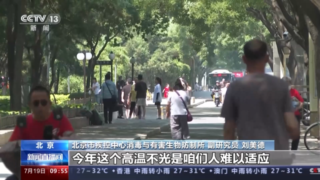 今夏北京蚊子变少了? 北京市疾控中心回应