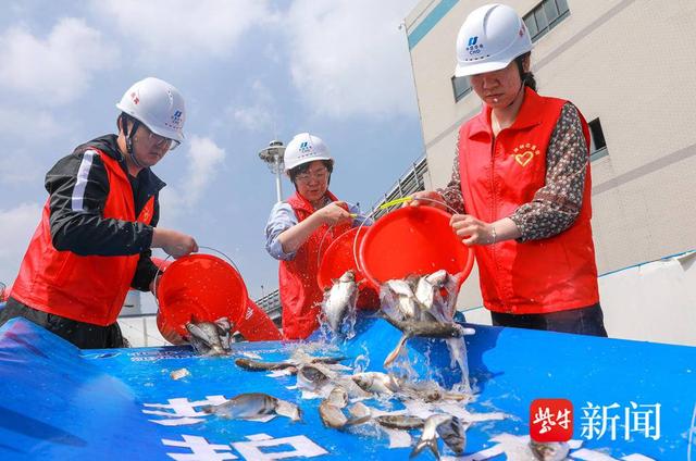 江苏华电句容发电有限公司开展增殖放流活动