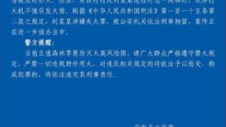 宁南一村民玩弄打火机引发森林火情被依法刑事拘留