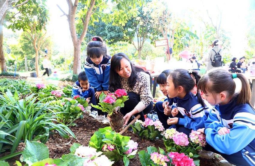 小学生变身“小农人” 播撒“希望种子”