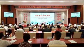 西林县成功举办西林麻鸭行业研讨会
