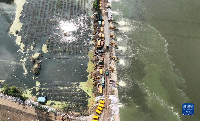 天津静海：加快积水农田排涝