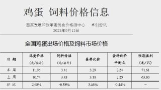 鸡蛋价格两月涨超四成！国家发改委：存高位下滑可能