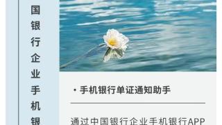 诚信兴商 滨汇有礼———中国银行跨境结算线上产品集锦