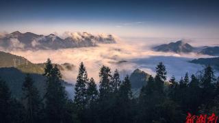 龙山：雾起云涌胜似仙境