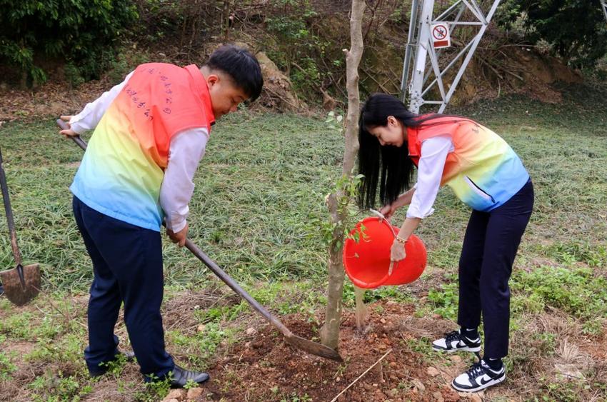 中建八局南方公司基础设施分公司开展义务植树