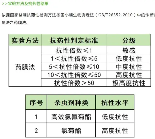 广东蟑螂杀虫剂杀不死，网友大呼“进化”了！疾控部门：有抵抗力但不强，可加大剂量！