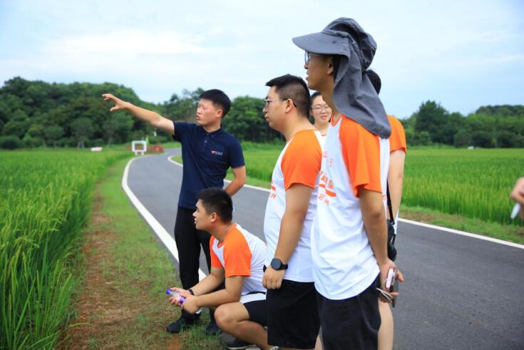 芜湖市湾沚区：绿野寻踪入花桥 生态建设促振兴