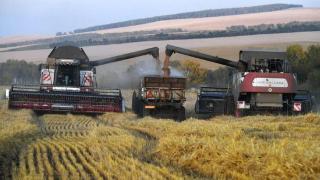 德国政治家：俄罗斯有能力独自实现粮食协议目标