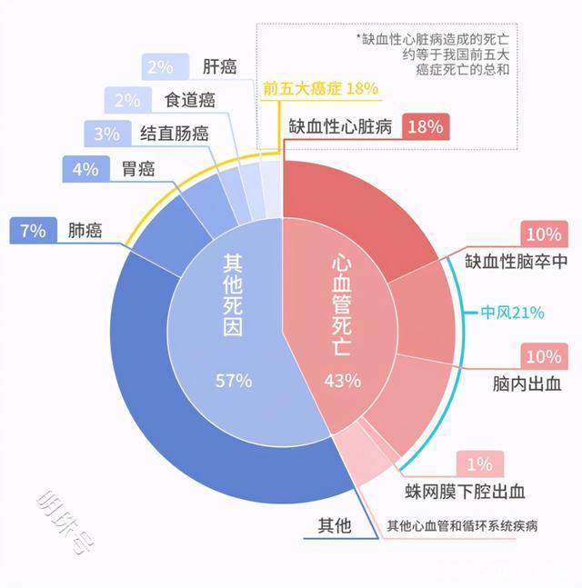 颈动脉狭窄导致70%患者偏瘫中风，支架还有意义吗？了解下