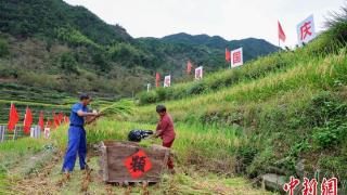 安徽黄山：庆丰收 迎国庆