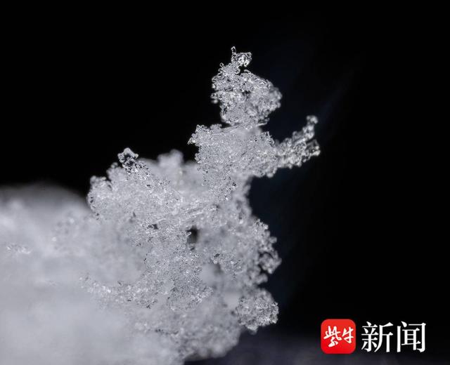 探秘微观世界下的雪花究竟长啥样