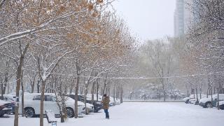 图集丨冬日，北京迎大雪