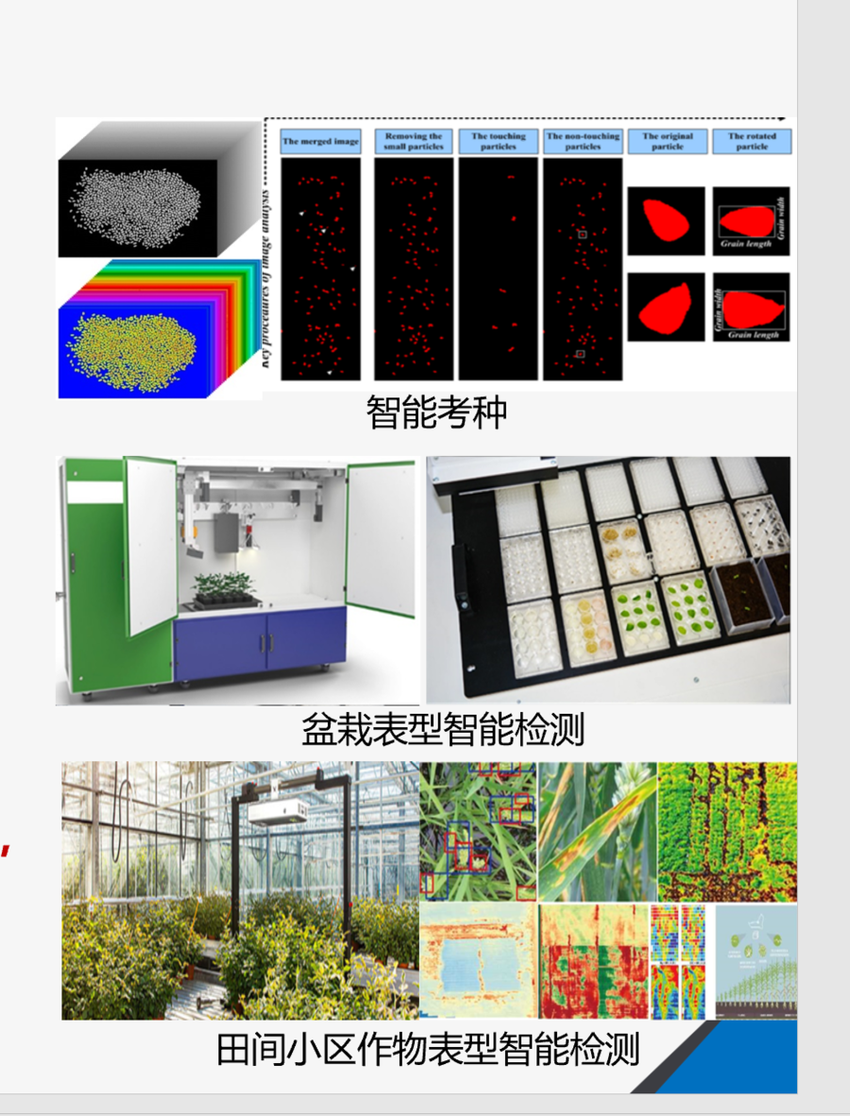 山东种业鲁南公司获批2023年度省重点研发农业良种工程项目