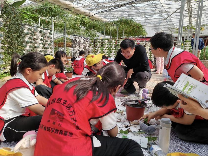 学劳模精神，做劳动能手——济南市燕柳小学劳动周系列活动