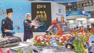 400公斤金枪鱼亮相深圳国际渔业博览会