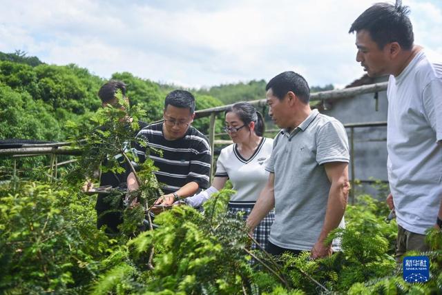 浙江诸暨：“乡村ceo培育计划”助力乡村振兴