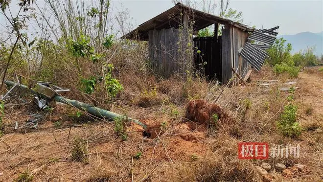 夫妇投资两千万在云南建果园屡遭野象破坏，基地运作近乎瘫痪，人象冲突何解？