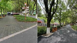 兴浦市政升级改造景区路提升旅游品质