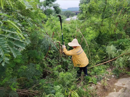 坚守防洪一线 筑牢“青春堤坝”