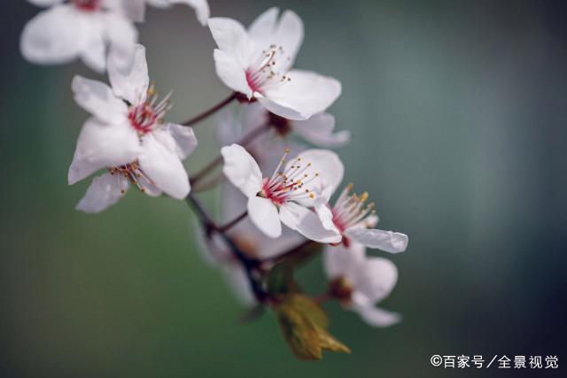 在婚姻里，有两类男人，晚年大多过得不好，没啥好结果