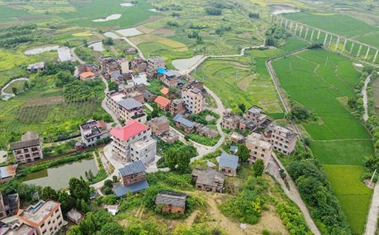 湖南新田中山街道：点亮乡村“角落”绘就人居环境新画卷