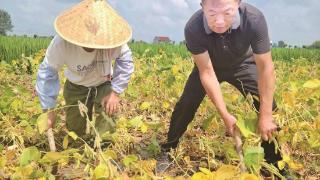 陆玉良：陆庄村村民的“贴心保姆”