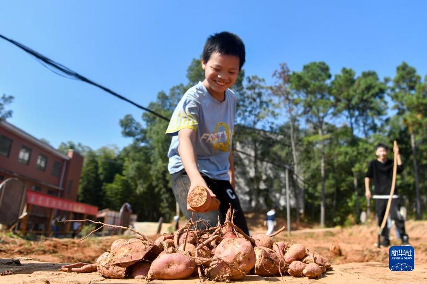 湖北黄梅：劳动教育助力学生健康成长