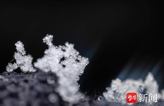 探秘微观世界下的雪花究竟长啥样