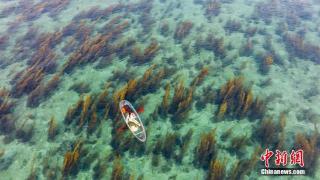 广西北海：“玻璃海”成海上风景