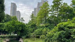 浙江新一轮降雨天气开启未来三天气温快速回升