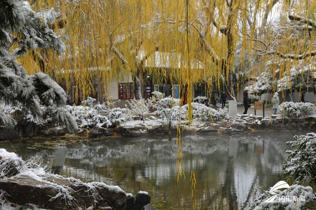 济南迎来大雪，一组航拍镜头带你领略雪中的趵突泉