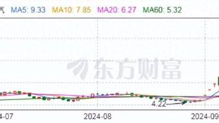 “重组好戏”上演，保变电气能否“挑大梁”？