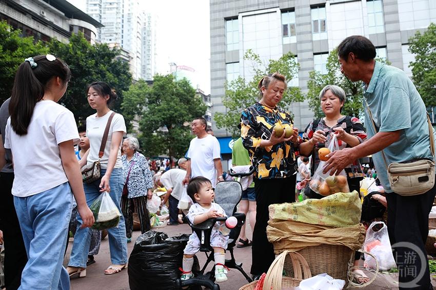 重庆忠县：广场变菜市 这里“烟火”正浓