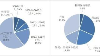 调查显示：国有大行成为县域企业主要融资渠道