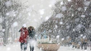 今日大雪，进入养生关键期，记住“吃3肉，饮3茶”，少生病更健康