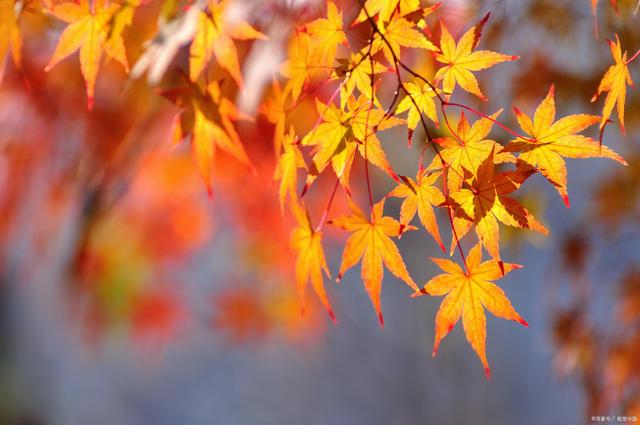 照见流转岁无穷，十劫漫长路，悔恨晚重逢