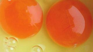 吃鸡蛋黄，胆固醇真的会升高吗？揭秘多年误解