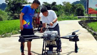 靖西：无人机“飞防”为粮食生产“护航”