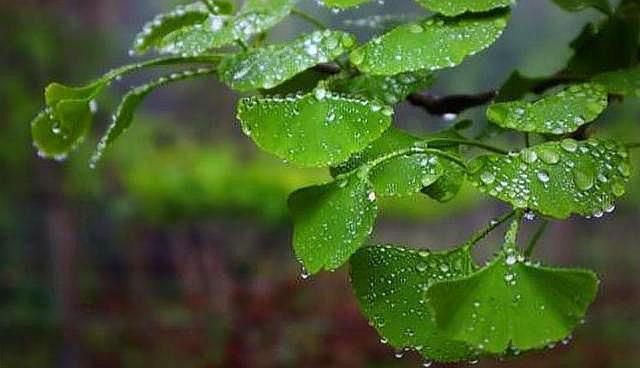 人生的这三场凄风苦雨熬过去，你就赢了