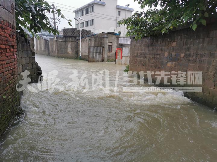 【天眼快讯】道路被雨水淹没，皮划艇转移受困群众