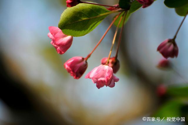 遇到讨厌的人，从来都不是翻脸，而是用下面这两种方式