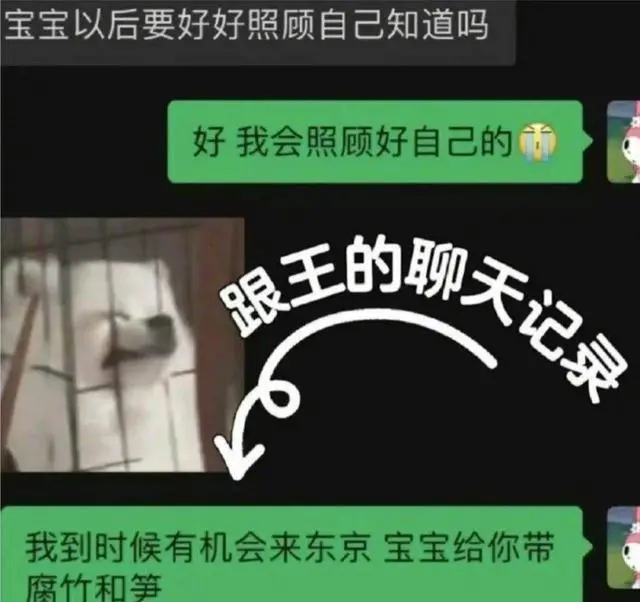 小羽官宣和王思聪分手，获网友心疼！聊天记录曝光王思聪真实心态