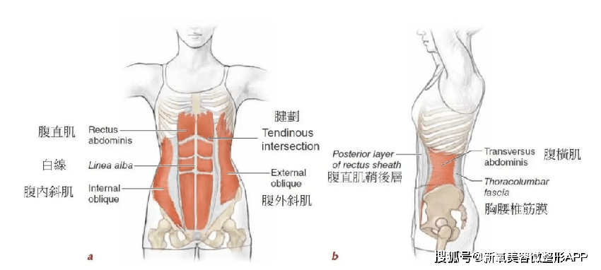 蕾哈娜怀孕6-7个月？无缝衔接怀孕不伤身体，你怎么看？