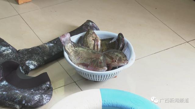 柳州一男子携弹射式鱼枪潜水捕鱼被举报