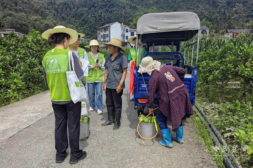 共育“石榴籽” 绽放“团结花” 武设暑期社会实践队深入民族区域