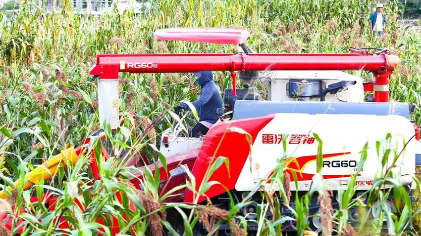 农机梦想家90后 潍柴雷沃新农人匠心种粮忙